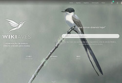 fantastic cms